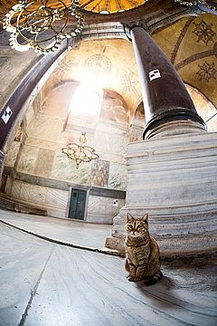Exkursion Istanbul